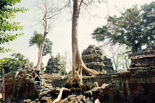 Ta Phrom temple with trees growing from the rocks (which inspired Tombraider, Lara Croft)