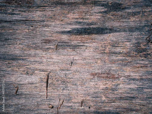 the texture of using bark wood as a natural background 