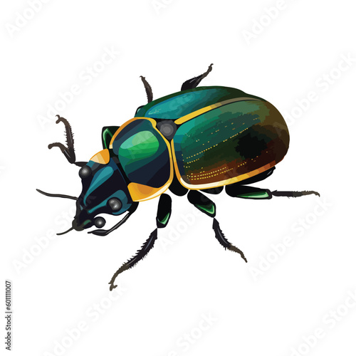 vector cute Beetle cartoon style © Syamsudin