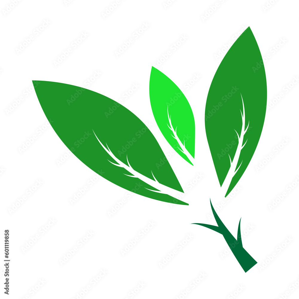 botanical icon illustration vector botanical icon illustration vector
