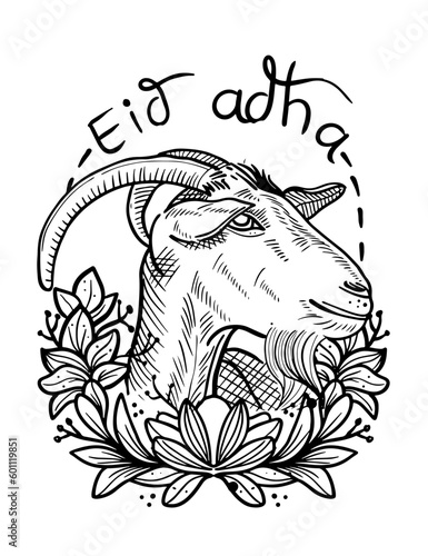goat vector line art for eid adha