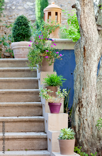 detail garden in the south of France