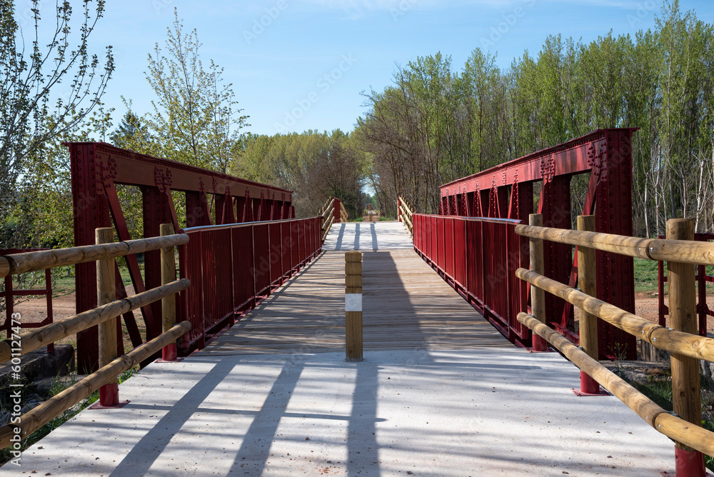 path to the forest with wooden and red metal bridge