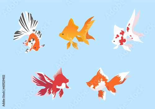 金魚のイラストセット