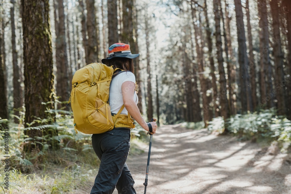 Unrecognizable woman walking in forest with sticks Unrecognizable woman walking in forest with sticks