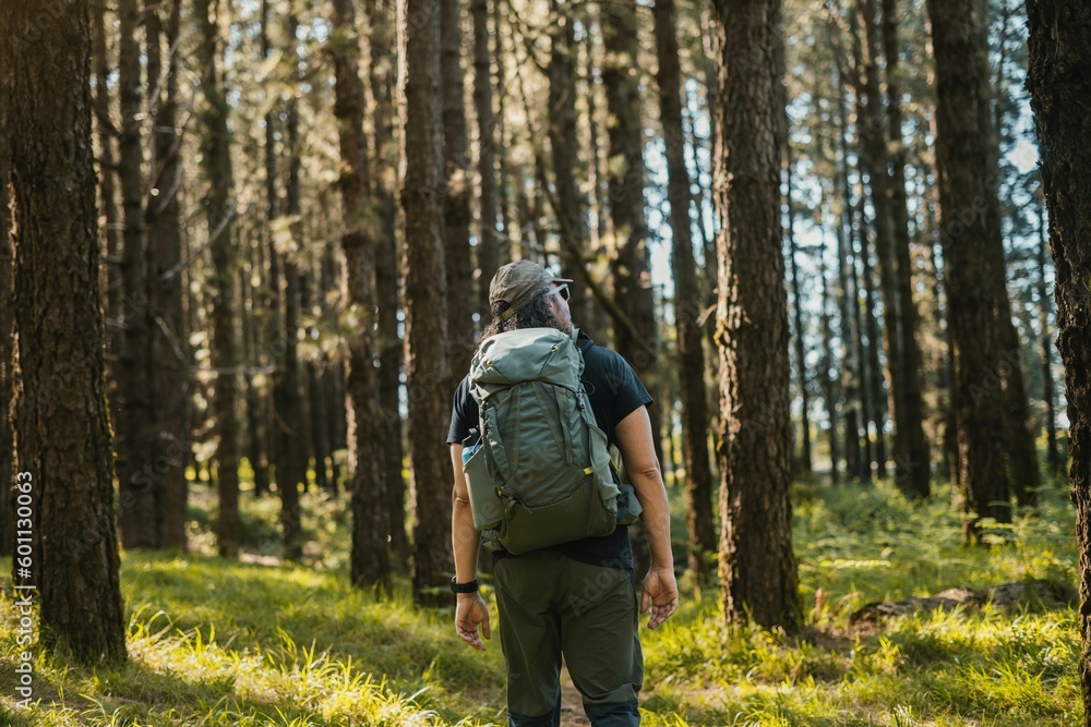 Unrecognizable man walking in coniferous forest Unrecognizable man walking in coniferous forest