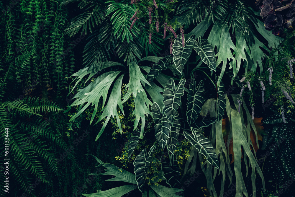 Fototapeta premium Close up group of background green leaves texture and abstract background. Tropical leaf nature concept.