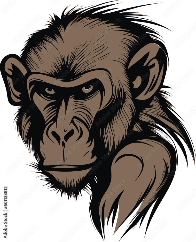 Obraz premium A Baboon Cute Vector, Animal, Cartoon