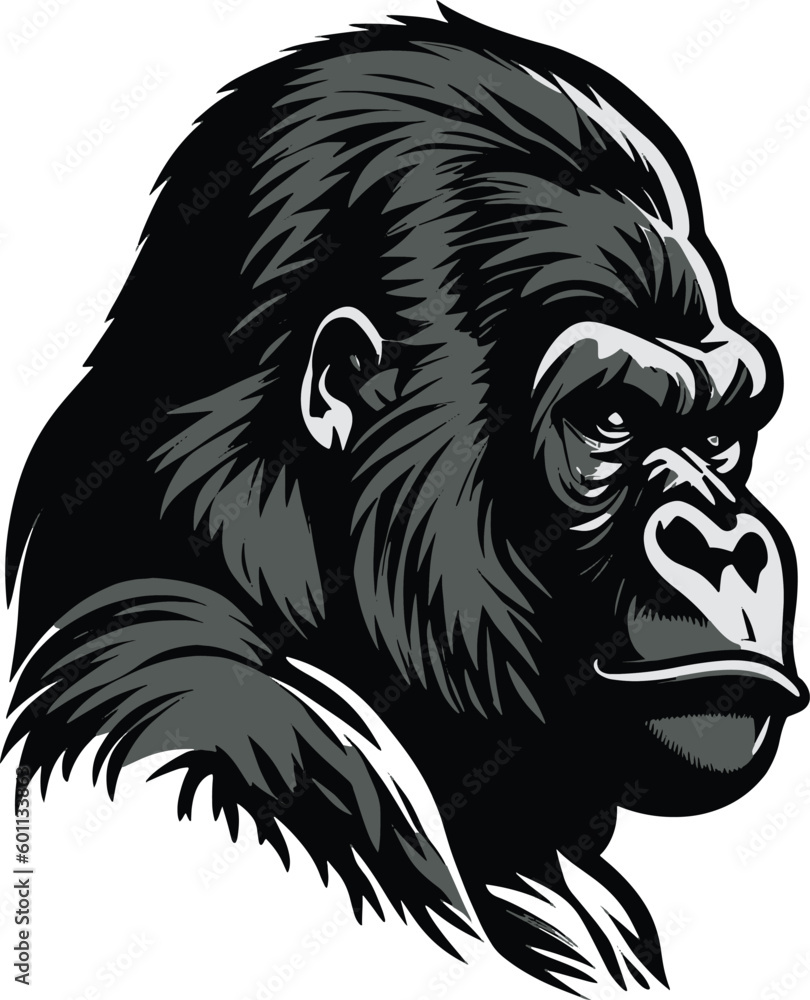 Fototapeta premium A Gorilla Cute Vector, Animal, Cartoon