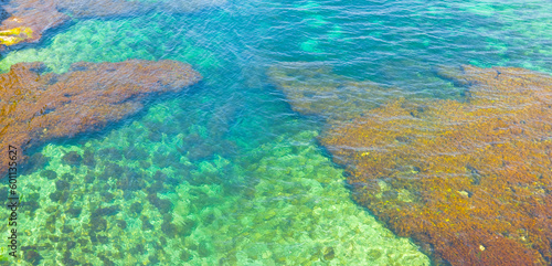 closeup emerald sea bay, summer sea background