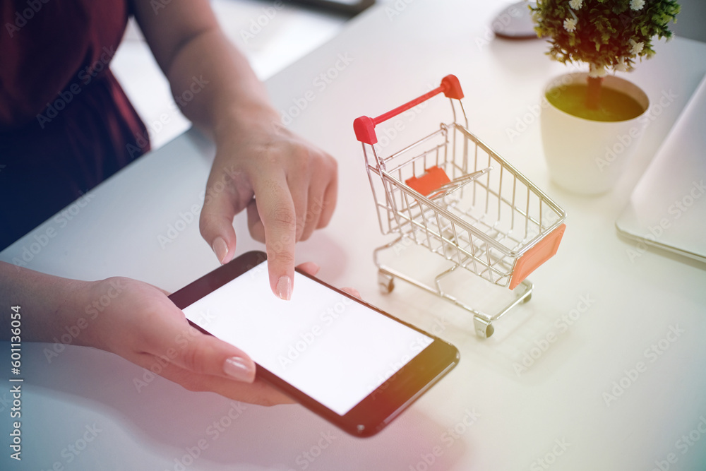 Woman and Small shopping cart with Laptop for Internet online shopping concept.