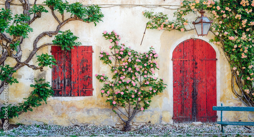Sunlit old wall with red wooden door and balcony with roses and climbing plants.Texture