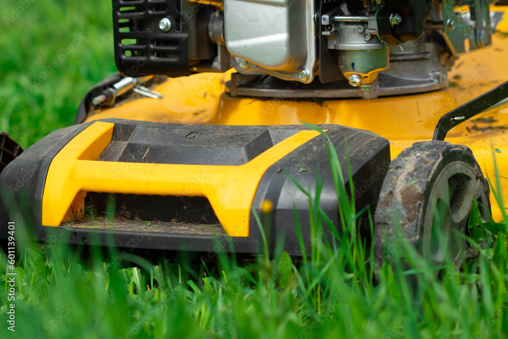 mowing the lawn. Yellow lawn mower on a background of green grass. Mowing grass in the garden with a lawn mower.