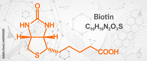 Biotin is a vitamin B7. It is a coenzyme for carboxylase enzymes, involved in the synthesis of fatty acids, isoleucine, and valine, and in gluconeogenesis. Skeletal formula.