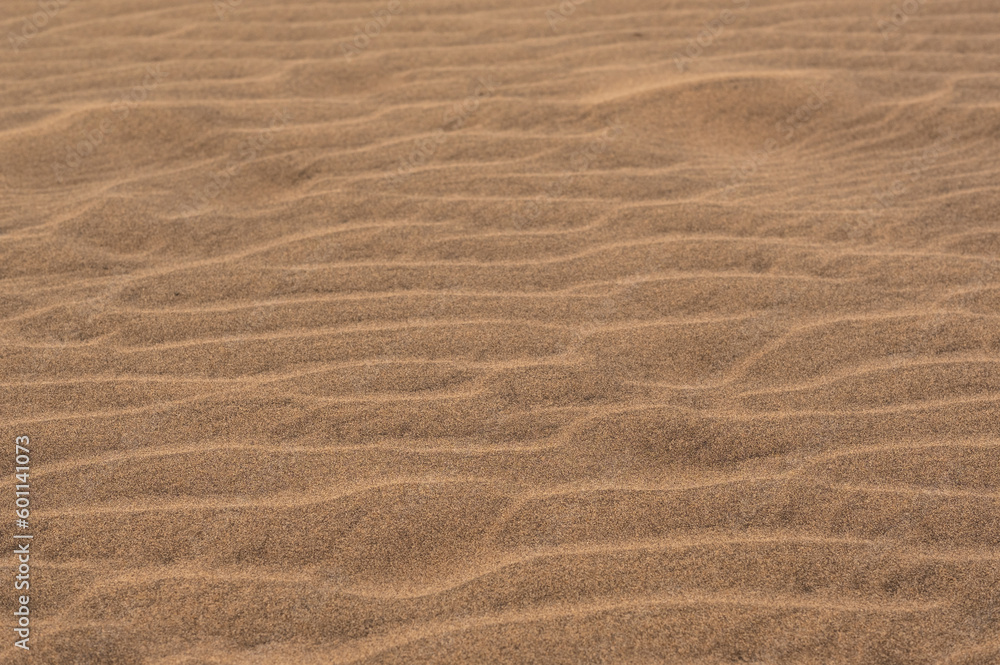 Whispers in the wind: captivating patterns on a desert dune sand texture under sunlight (background) Whispers in the wind: captivating patterns on a desert dune sand texture under sunlight (background)