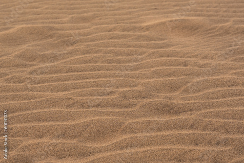 Whispers in the wind  captivating patterns on a desert dune sand texture under sunlight  background 