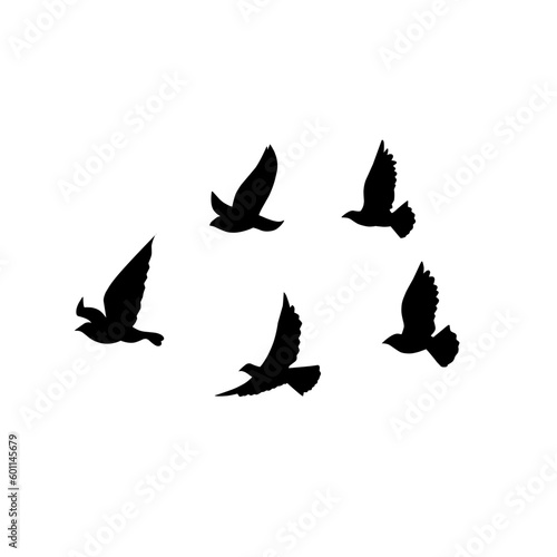 vector silhouette of flying birds 