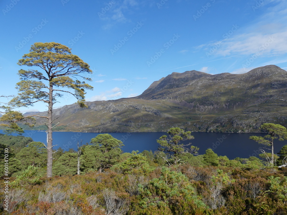 loch maree