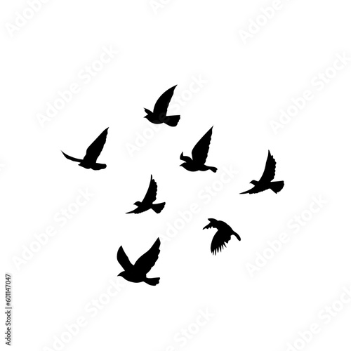 vector silhouette of flying birds  © P4ramours