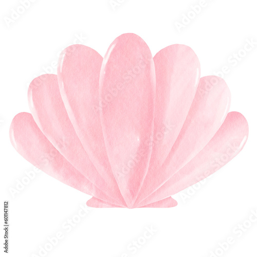Watercolor pink shell illustration isolated on transparent background