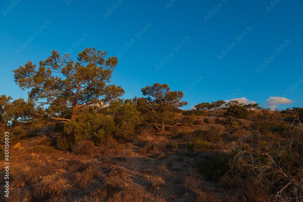 Beautiful landscape. Coast of the island of Crete - Greece area of Lerapetra Eden Rock. Beautiful sky at sunrise over the sea. Beautiful landscape. Coast of the island of Crete - Greece area of Lerapetra Eden Rock. Beautiful sky at sunrise over the sea.