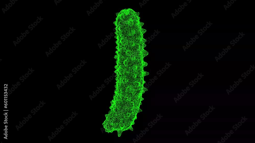 3D Bacterium virus rotates on black background. Object made of shimmering particles. Health Medicine concept. For title, text, presentation. 3d animation 60 FPS 3D Bacterium virus rotates on black background. Object made of shimmering particles. Health Medicine concept. For title, text, presentation. 3d animation 60 FPS