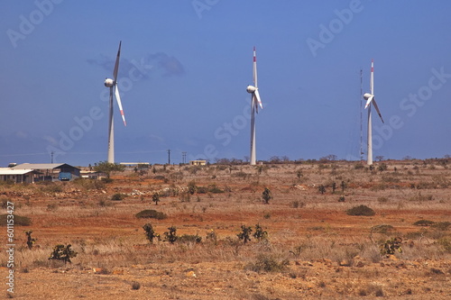 Wind power stations on the island Baltra of Galapagos, Ecuador, South America
 photo