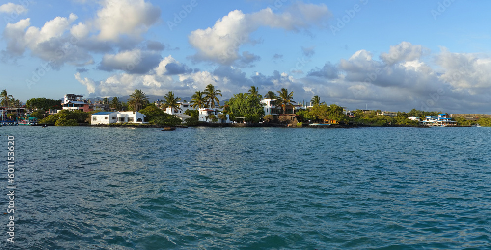 Coast in Puerto Ayora on Santa Cruz island of Galapagos islands, Ecuador, South America
Coast in Puerto Ayora on Santa Cruz island of Galapagos islands, Ecuador, South America