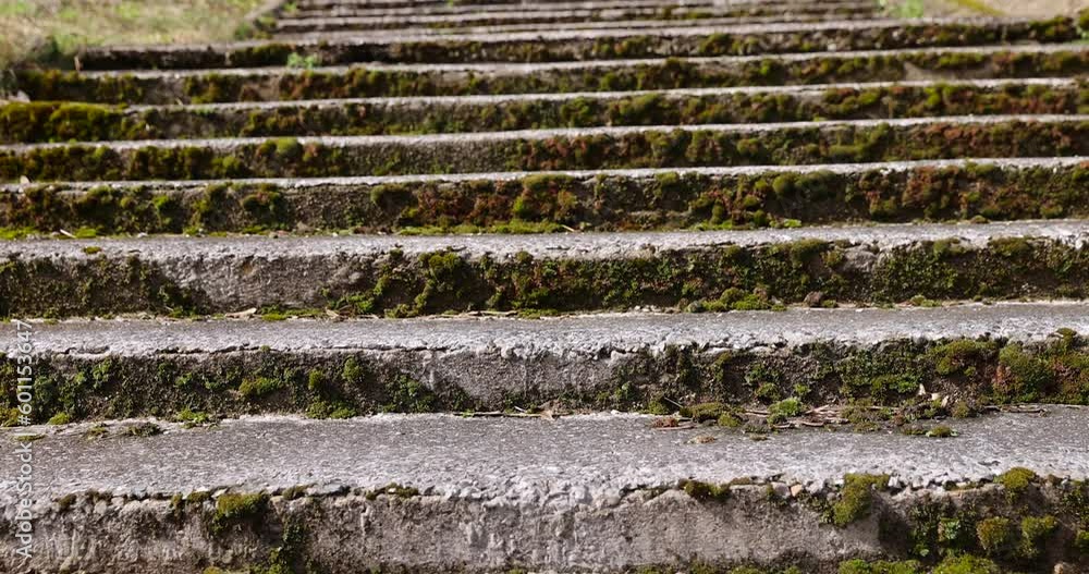 an old ruined concrete and stone staircase in the park, the details of the old staircase parts of which are damaged or destroyed an old ruined concrete and stone staircase in the park, the details of the old staircase parts of which are damaged or destroyed