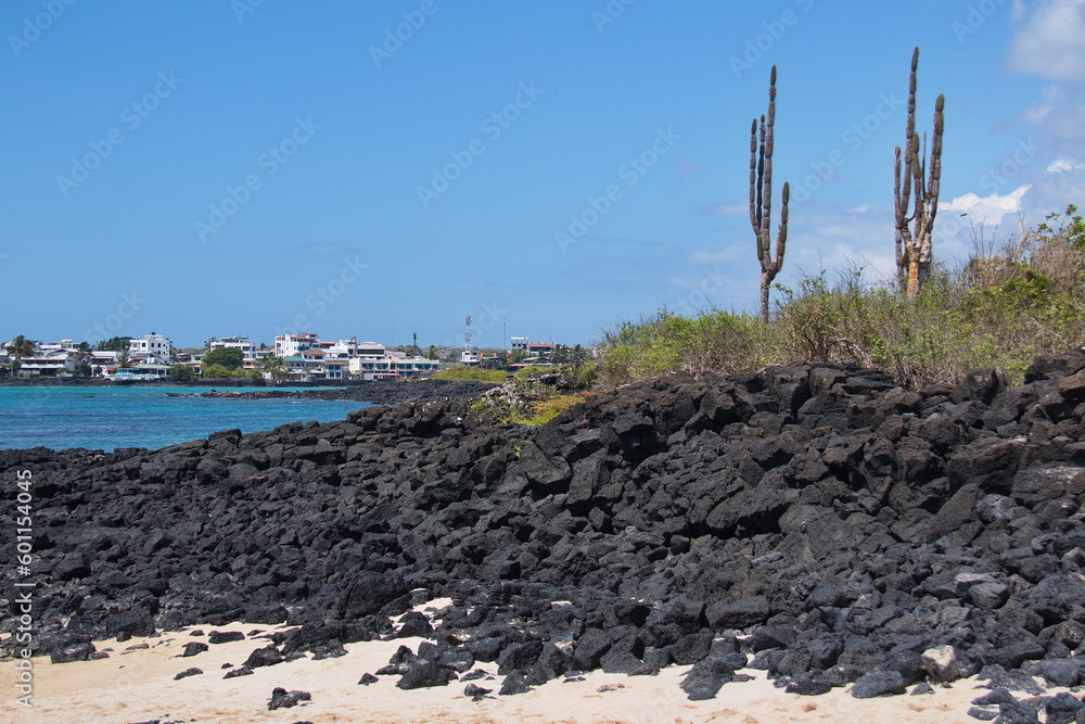 Coast in Puerto Ayora on Santa Cruz island of Galapagos islands, Ecuador, South America
