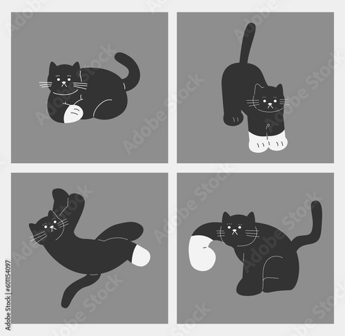 Cute cat illustration set. lovely pet. happy and lazy cat.