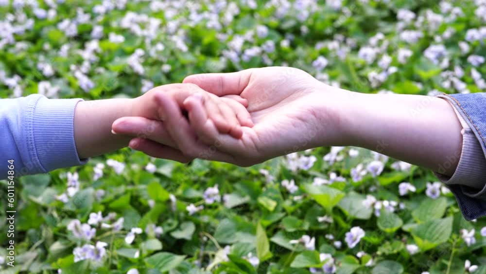 Closeup view of mother and a child hands holding together. Mother and child relation. Family time, vacation, weekend concept Closeup view of mother and a child hands holding together. Mother and child relation. Family time, vacation, weekend concept