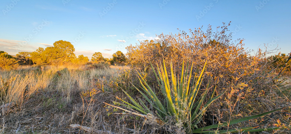 Fototapeta premium A scenic view of high desert landscape in Santa Fe, New Mexico.