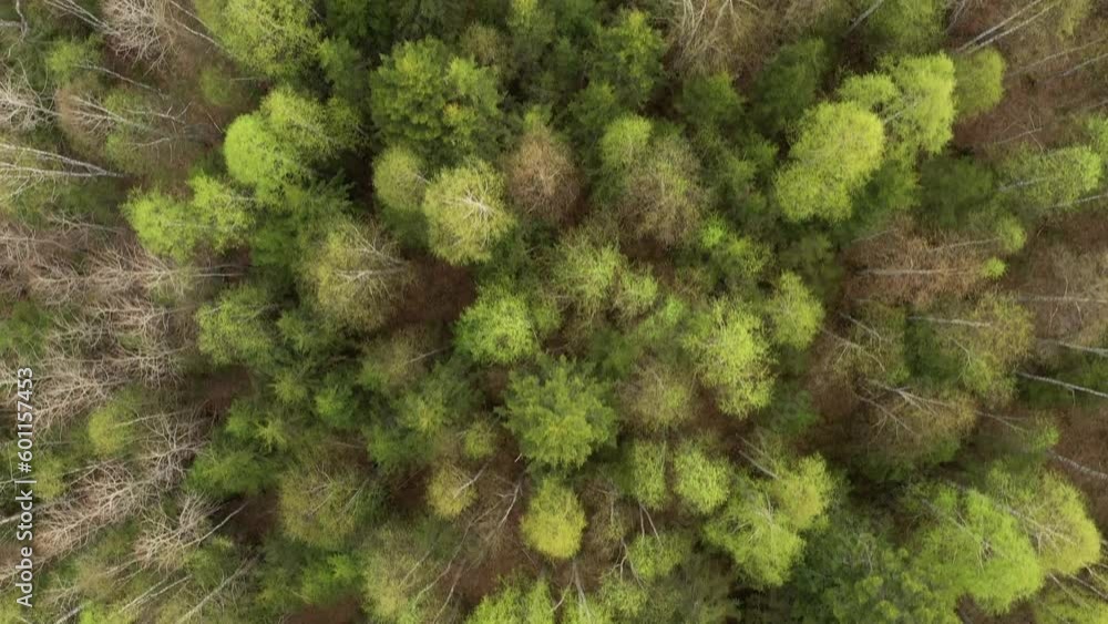 Southern Urals in spring, a view of the mountain taiga from the air. Southern Urals in spring, a view of the mountain taiga from the air.