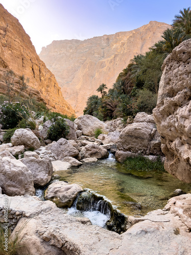 river in the canyon