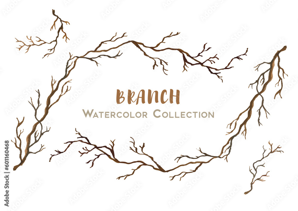 Beautiful handdrawn watercolor collection branch