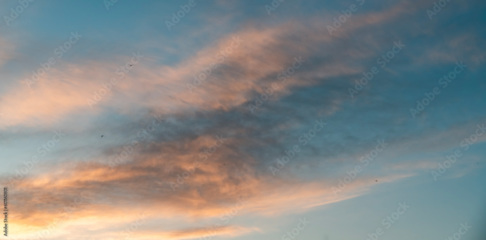 Beautiful bright summer sunset sky with clouds. Sunset sky  clouds background.