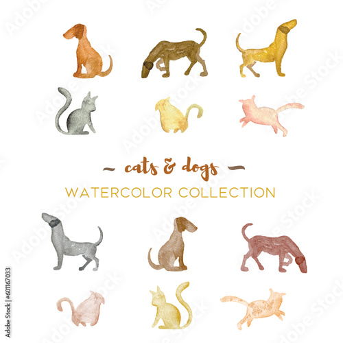 Vector cats and dogs watercolor collection