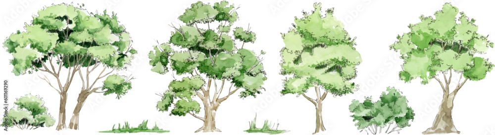 Obraz premium Vector watercolor trees isolated on white background, green trees and bushes, vector set of deciduous trees, Forest trees set EPS, botanical elements