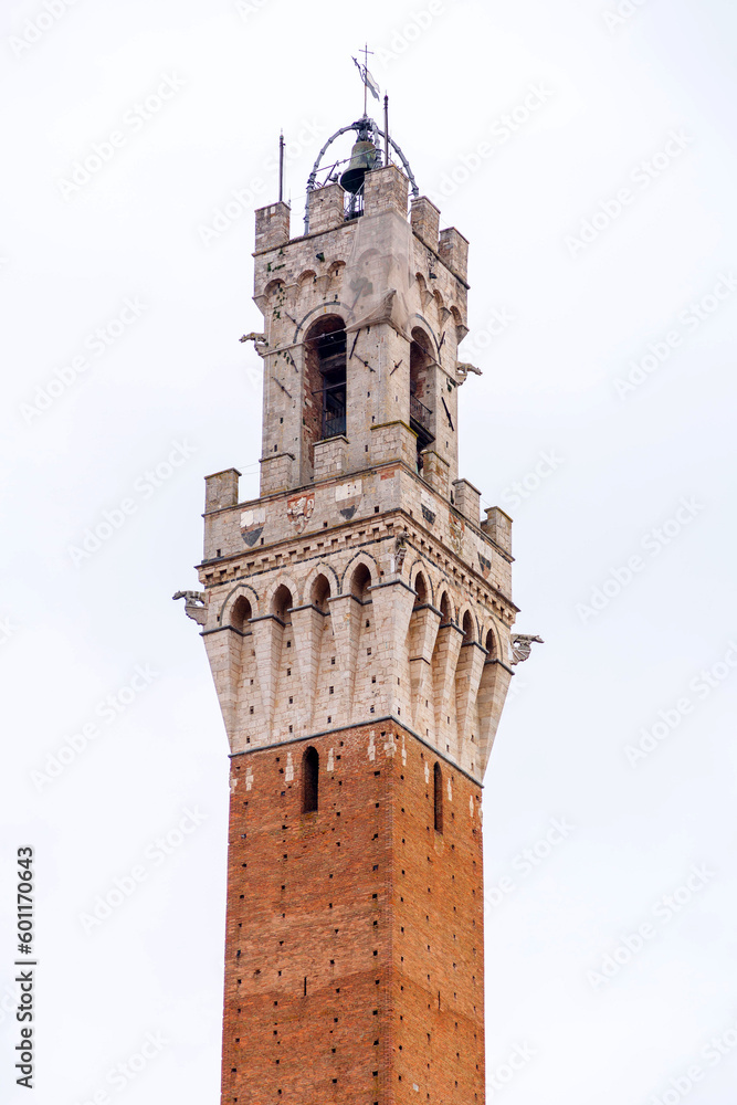  The Palazzo Pubblico, town hall is a palace in Siena, Italy