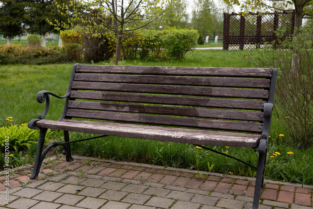 Wooden bench on the background of green grass in the park.