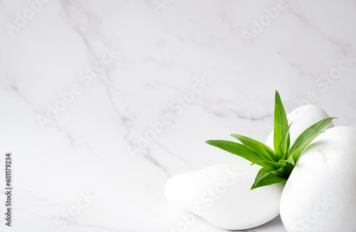 White stones and green leaves on marble background with copy space. Body care and beauty treatment. Spa and wellness or massage salon concept. Advertising background for your product.