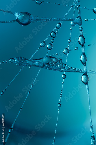 macro of water droplets on a spider web  abstract dynamic decorative background  futuristic stylish patterns created by ocean blue light