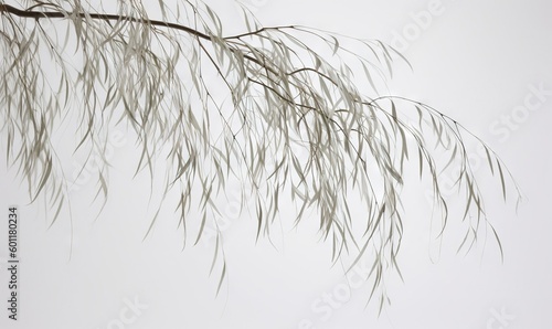  a tree branch with a white sky in the back ground.  generative ai