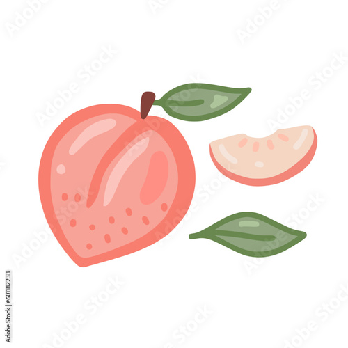 Fototapeta Naklejka Na Ścianę i Meble -  Pink peach. Hand drawn style set of illustration of peaches.