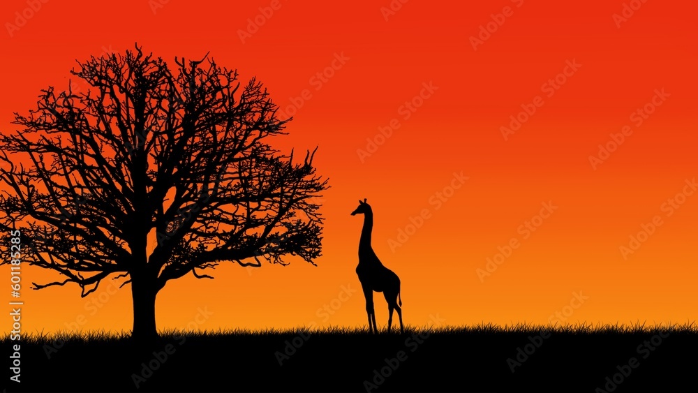 giraffe at sunset