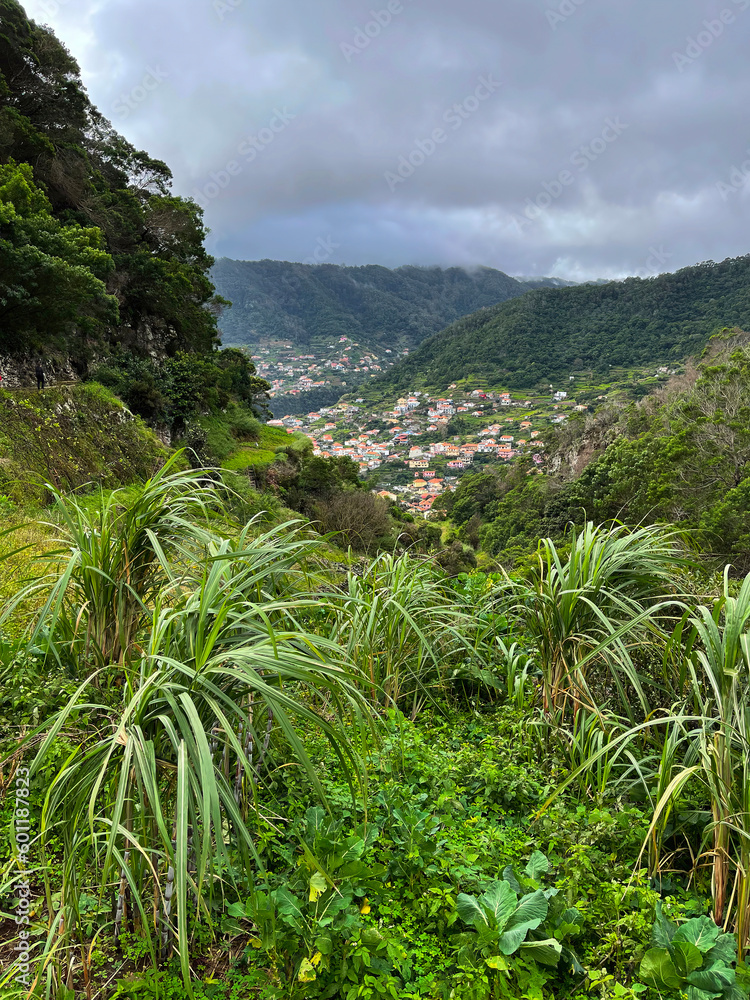 Small town in the in tropical vegetation Small town in the in tropical vegetation