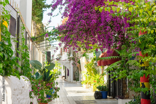 Fototapeta Naklejka Na Ścianę i Meble -  Narrow street in old european town in summer sunny day. Beautiful scenic old ancient white houses, cafe and shops with pink flowers. Popular tourist vacation destination, mediterranean architecture