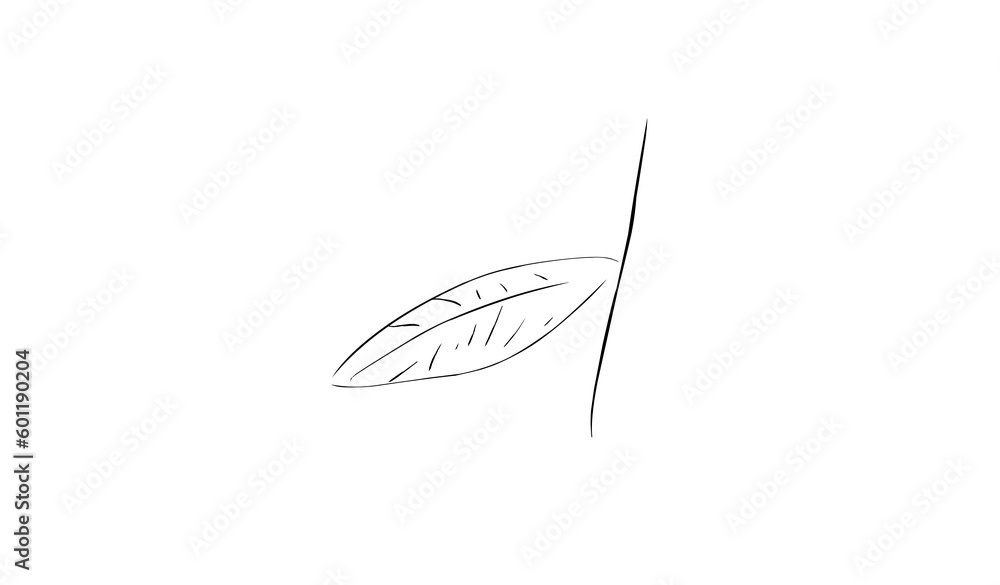 Simple leaf design Simple leaf design