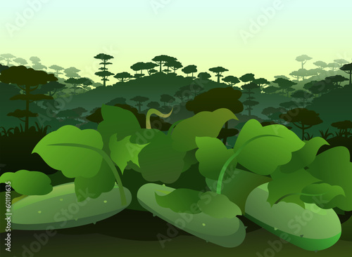 Cucumber grows ripe. Summer rural landscape. Garden with vegetables. Thickets of herbs. Cartoon fun style. Tropical forest rainforest. Flat design. Vector